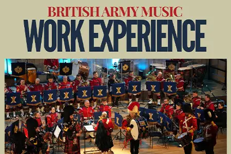 RCAM Insight work experience